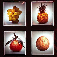 protocol fruits